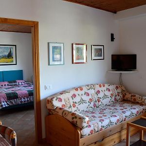 Apartament z 1 sypialnią